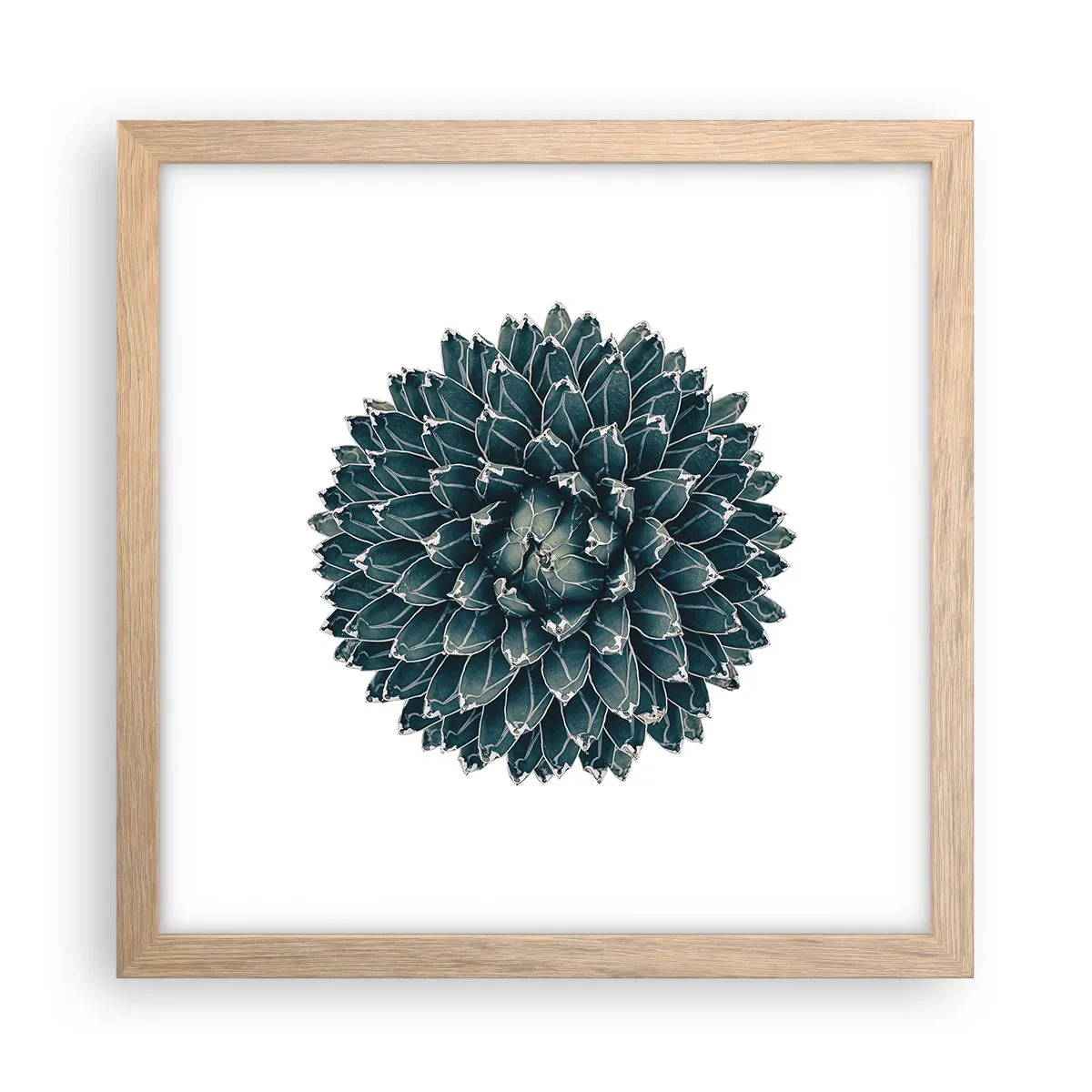 Plakát v rámu světlý dub - Hvězda pouště - 30x30 cm