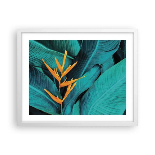 Plakát v bílém rámu - Rajský květ - 50x40 cm