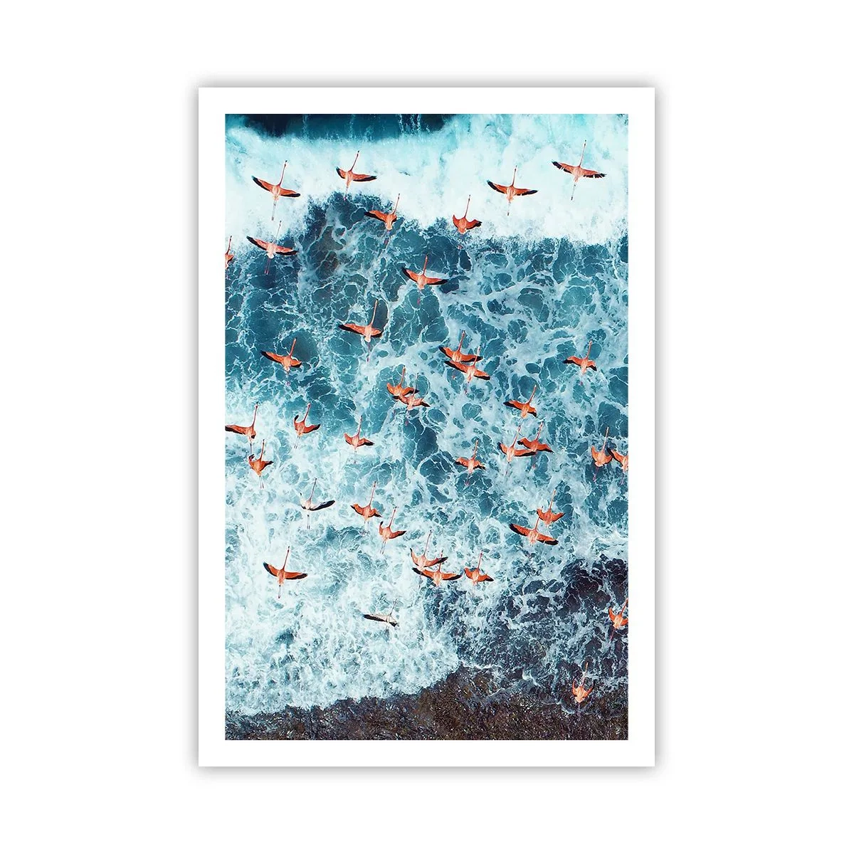 Plakát - Přímořský průvod - 61x91 cm