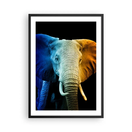 Plakát v černém rámu - Barevný obrázek slona na černém pozadí - 50x70cm - Výstřední muž, ale ne podivín - Moderní nástěnná dekorace do obývacího pokoje a ložnice ARTTOR