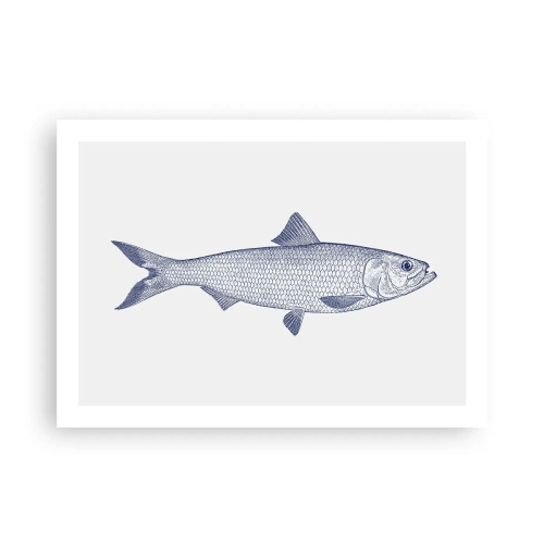 Plakát - Pozdravy ze severních moří - 70x50 cm