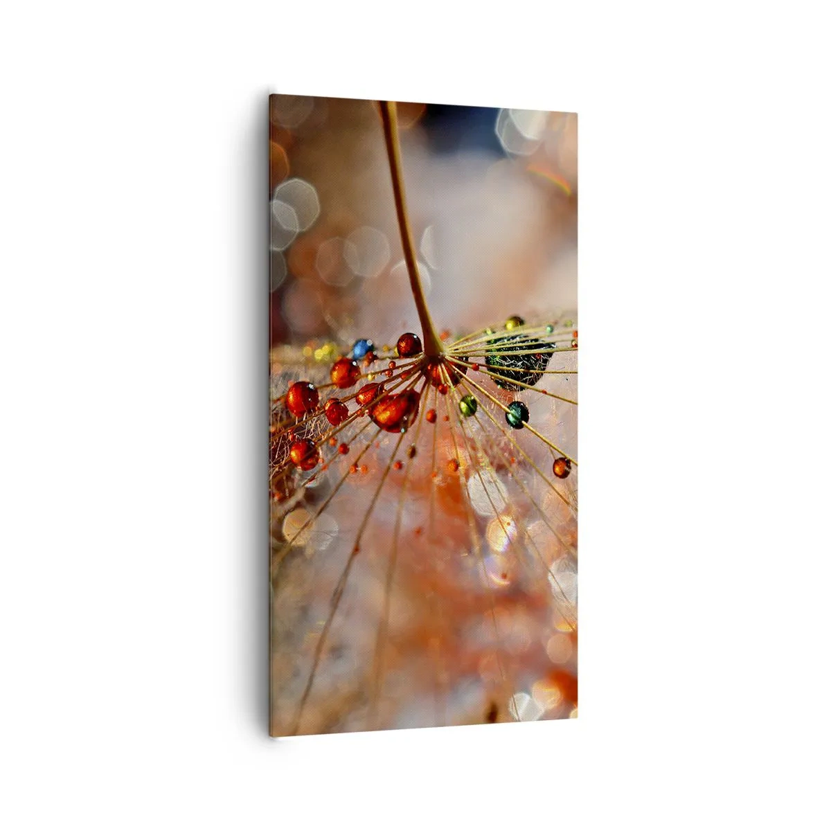 Obraz na plátně - Navlečeno na pavučinu - 65x120 cm