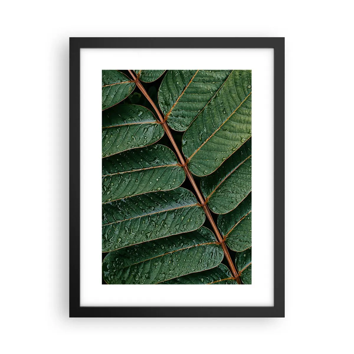 Plakát v černém rámu - V zeleném rytmu - 30x40 cm