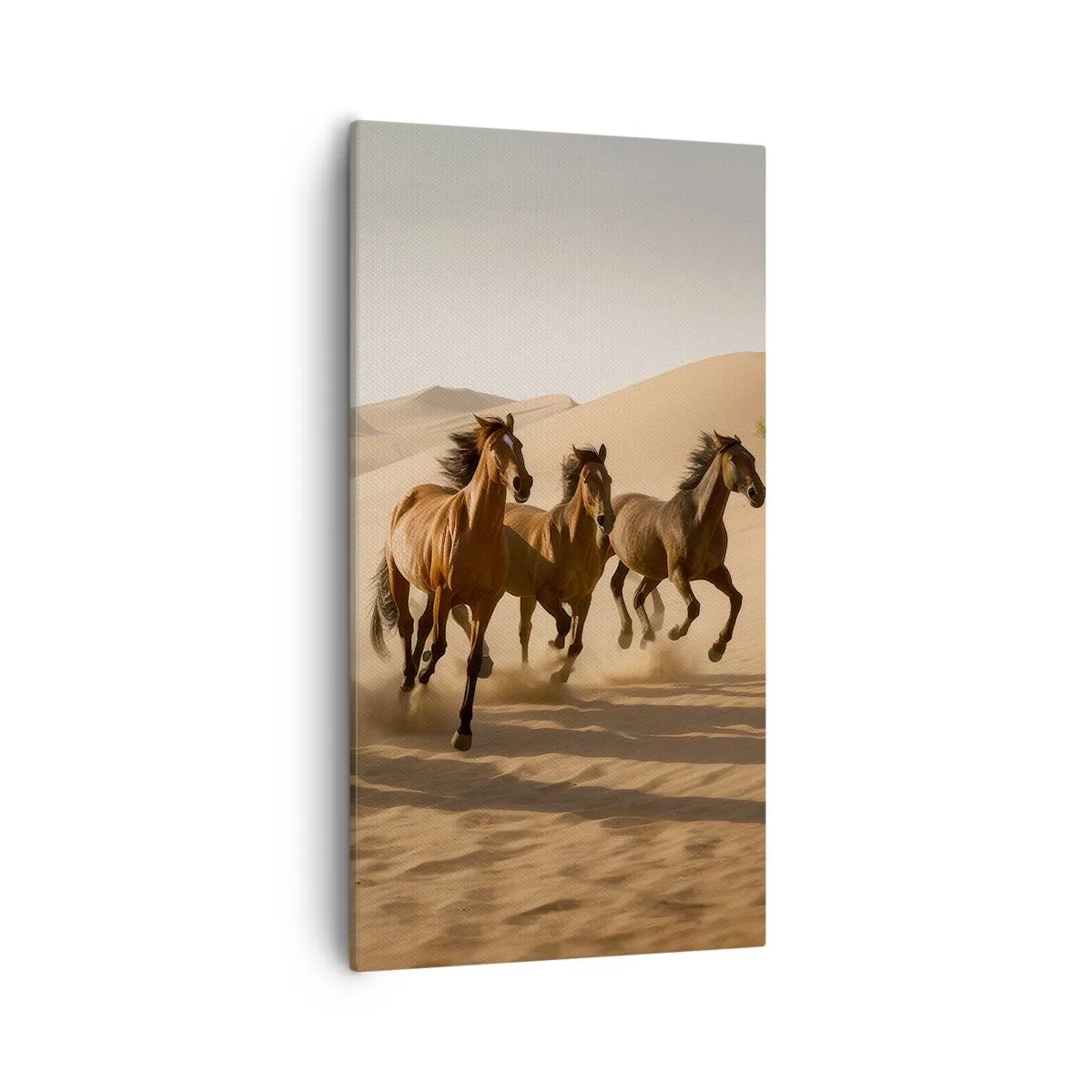 Obraz na plátně - Volné jako vítr - 55x100 cm