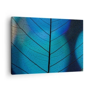 Obraz na plátně - Detail modrého listu s viditelnými detaily žilek - 70x50cm - Až do detailů - Moderní nástěnná dekorace do obývacího pokoje a ložnice ARTTOR