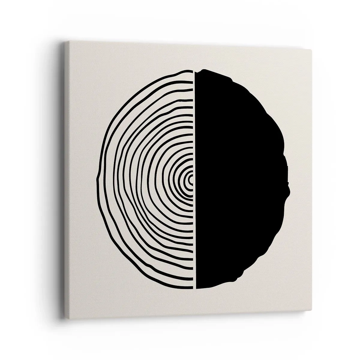 Obraz na plátně - Půl na půl - 40x40 cm