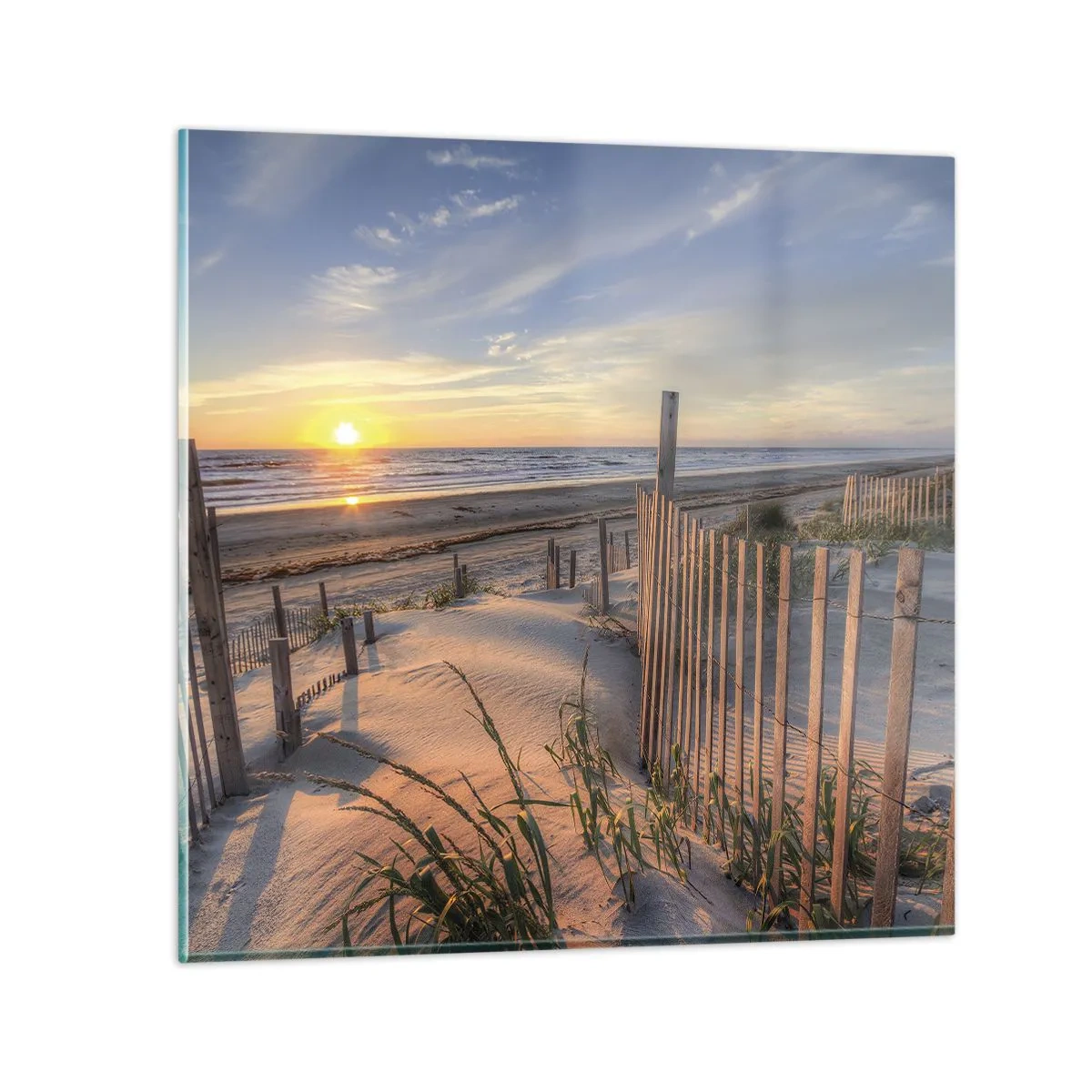 Obraz na skle - Odlesk a stín větru - 50x50 cm