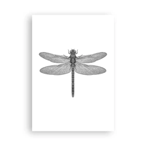 Plakát - Přesnost přírody - 70x100 cm