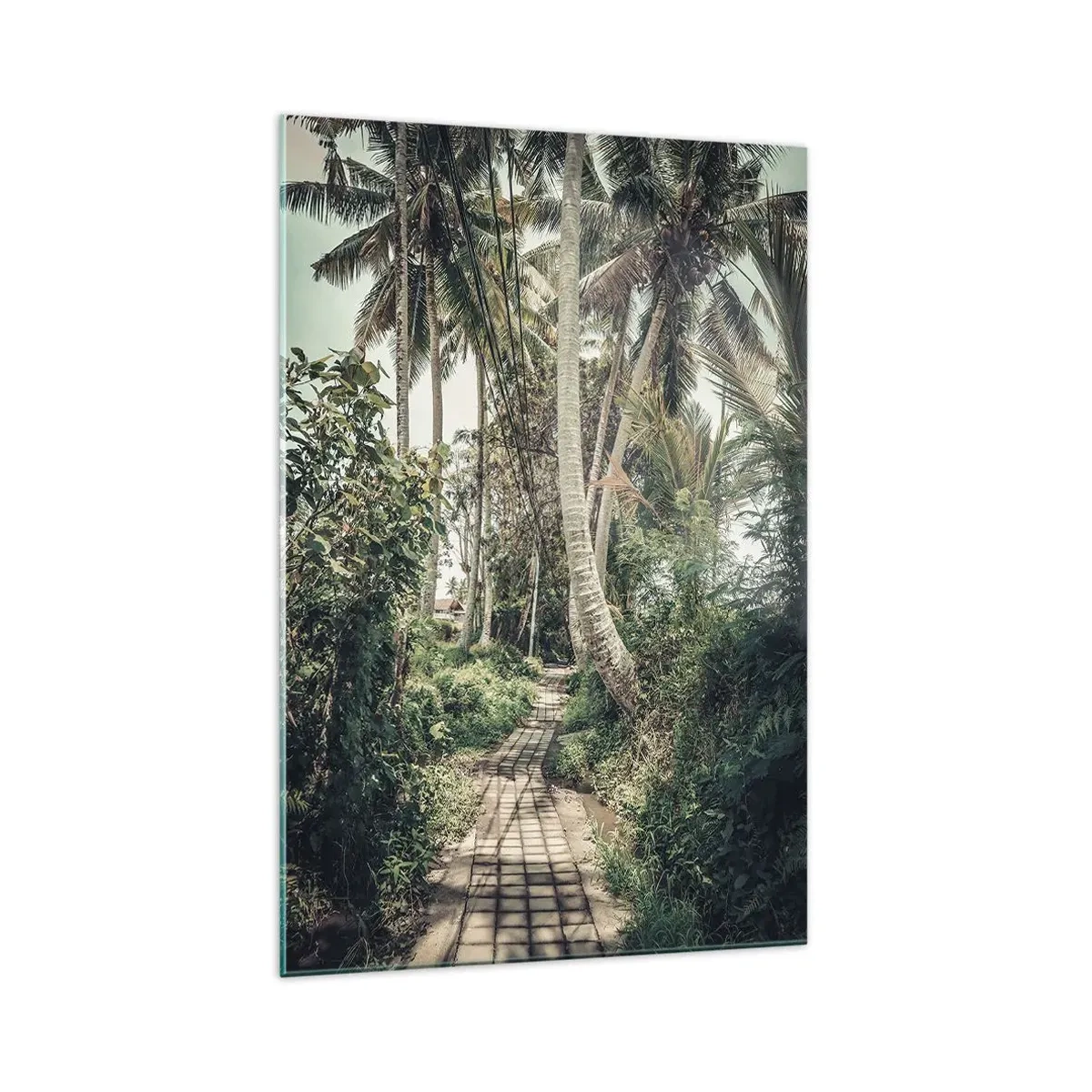 Obraz na skle - Palmová alej - 70x100 cm