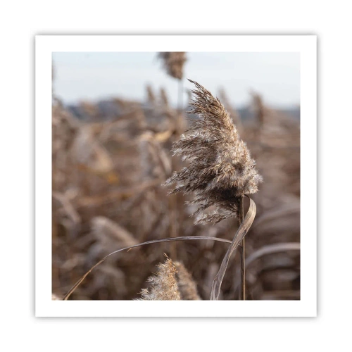 Plakát - Čas odletět s větrem - 60x60 cm