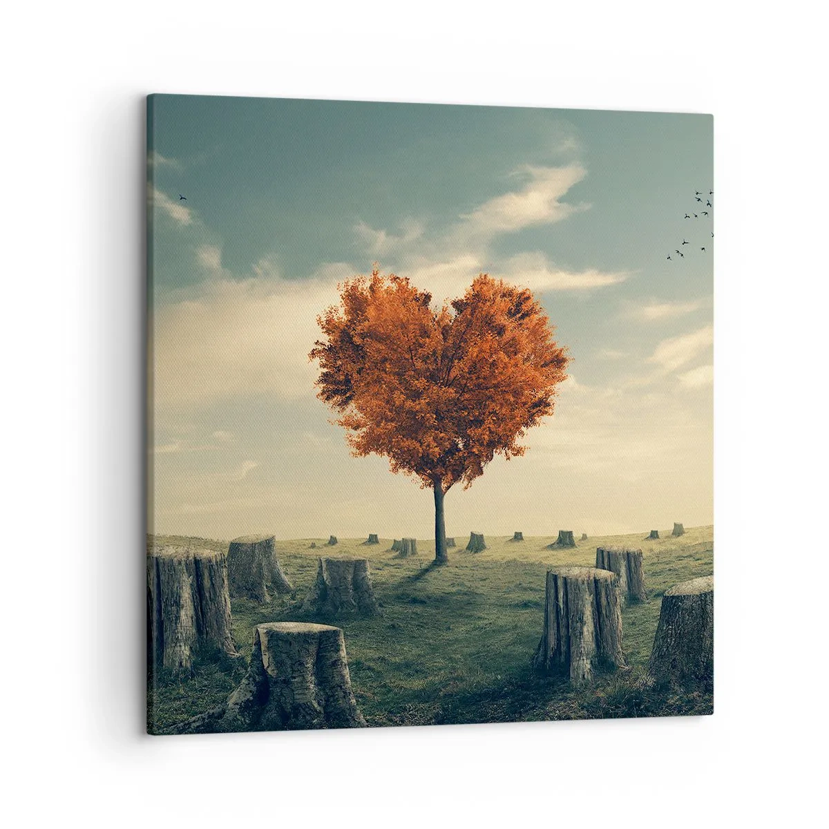 Obraz na plátně - Pořád je ještě naděje - 50x50 cm