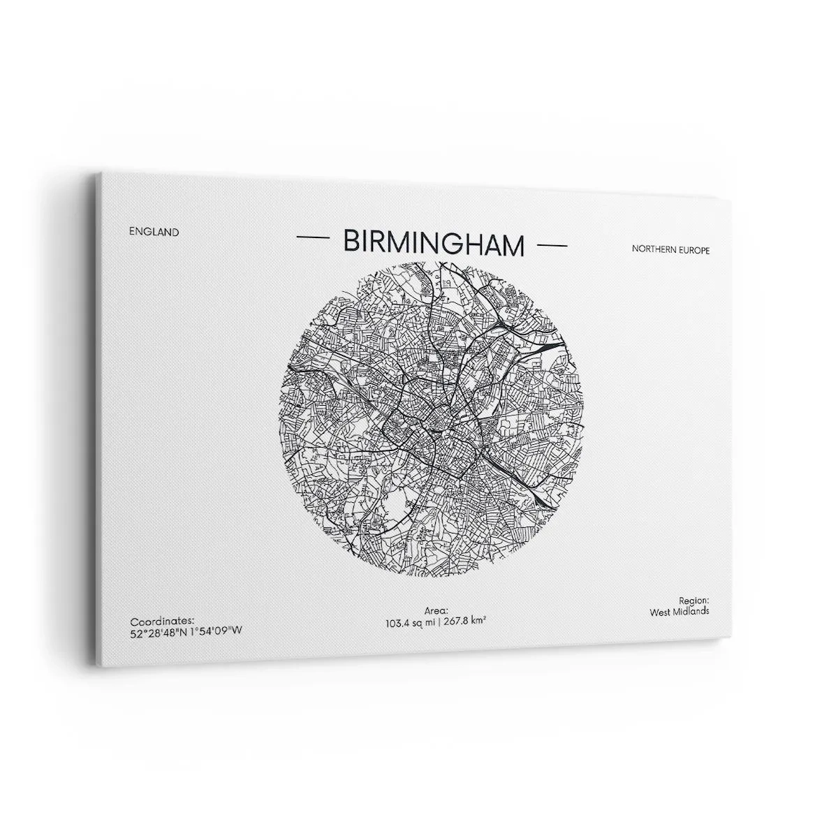 Obraz na plátně - Anatomie Birminghamu - 100x70 cm