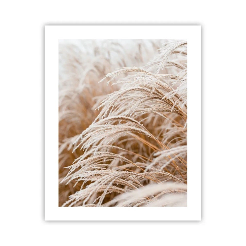 Plakát - Klanění podzimnímu slunci - 40x50 cm