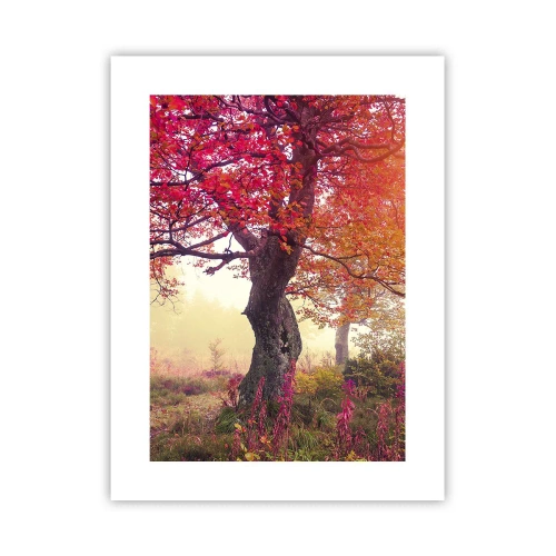 Plakát - Šílenství rozkvětu - 30x40 cm