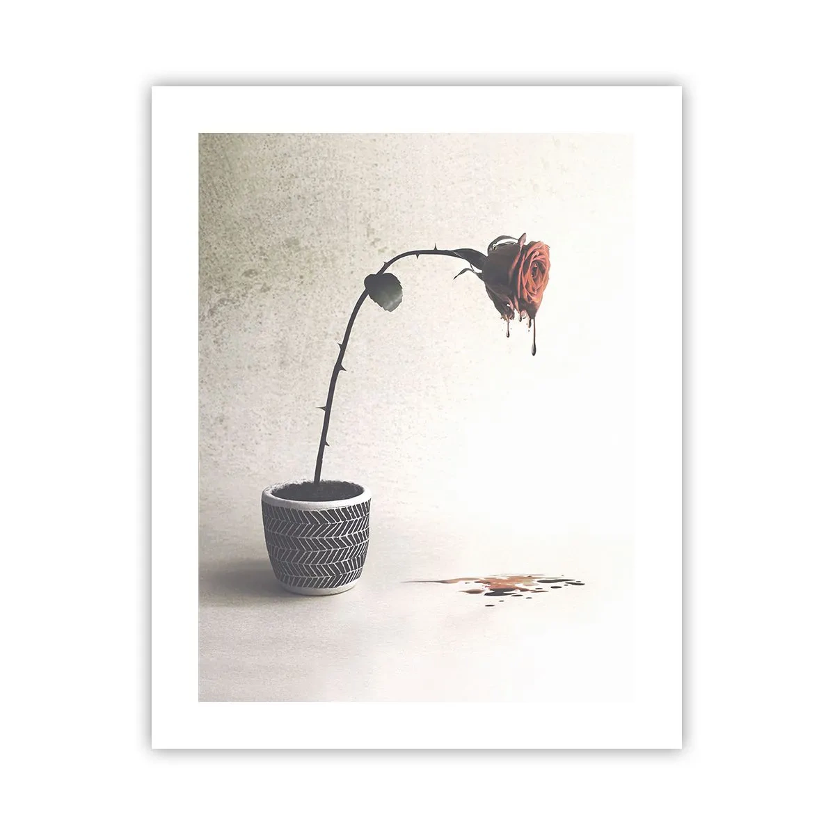 Plakát - Rosa dolorosa - 40x50 cm