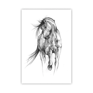 Plakát - V ladném klusu - 61x91 cm