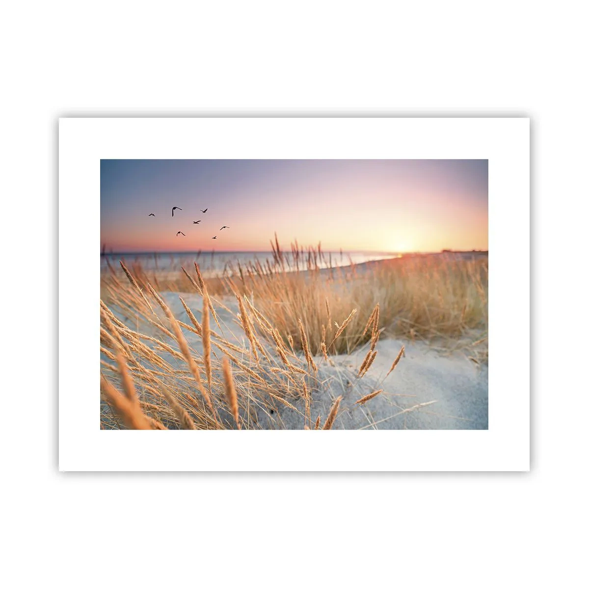 Plakát - Baltská ukolébavka - 40x30 cm