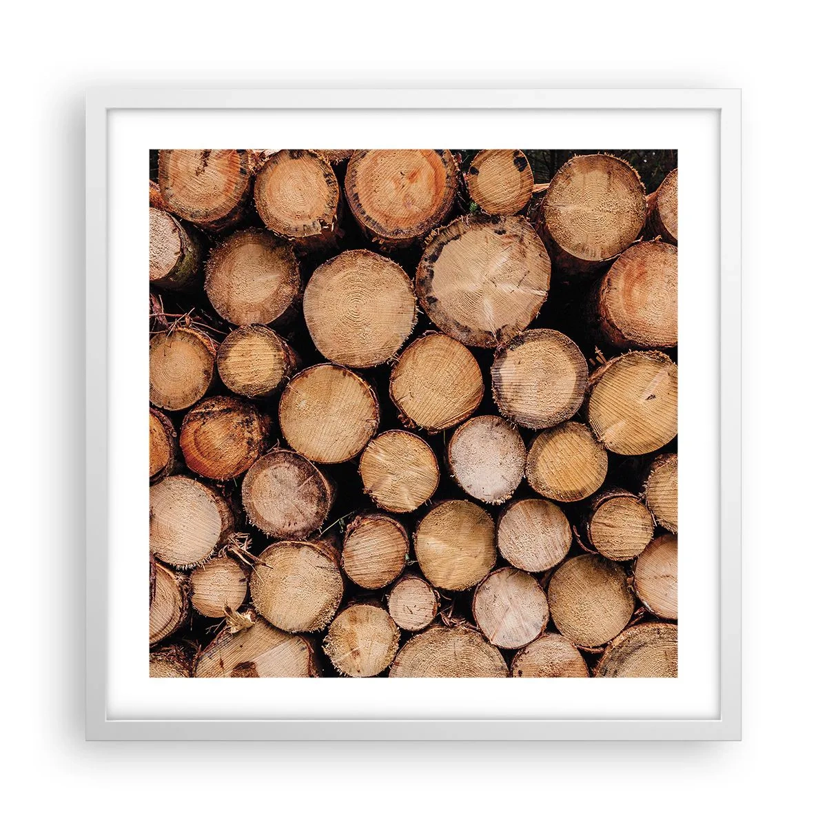 Plakát v bílém rámu - Nový začátek - 50x50 cm