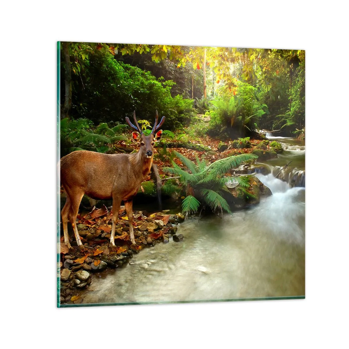 Obraz na skle - Vítám v mém světě - 70x70 cm