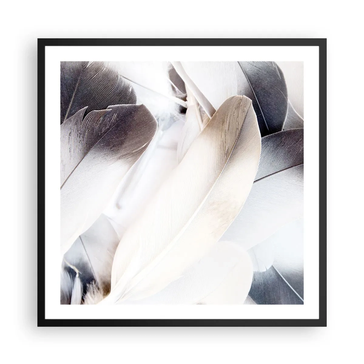 Plakát v černém rámu - Téměř andělské - 60x60 cm