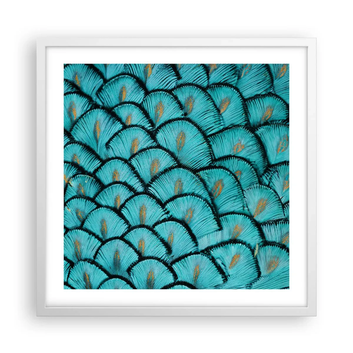 Plakát v bílém rámu - Velká slavnost peří - 50x50 cm