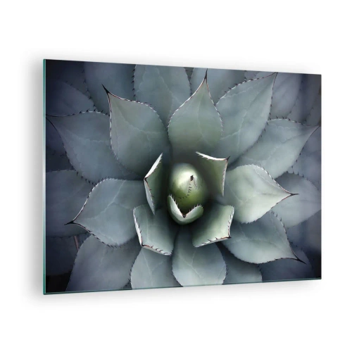 Obraz na skle - Detailní záběr na symetrické, ocelově zbarvené listy agáve. - 70x50cm - Svádí a varuje - Moderní nástěnná dekorace do obývacího pokoje a ložnice ARTTOR