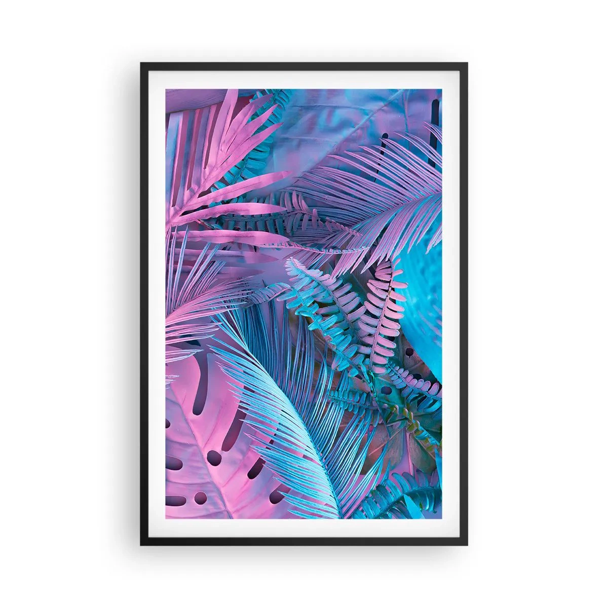 Plakát v černém rámu - Tropy v růžové a modré - 61x91 cm