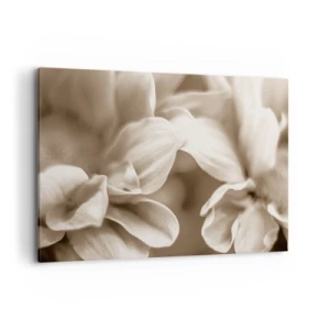 Obraz na plátně - Něžné jako úsměv - 100x70 cm