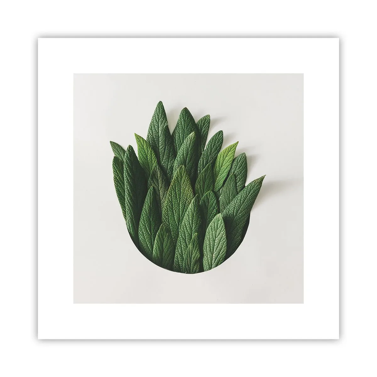 Plakát - Neukojitelná zvědavost - 30x30 cm