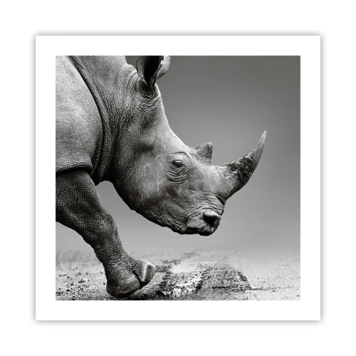 Plakát - Nezastavitelná síla - 50x50 cm