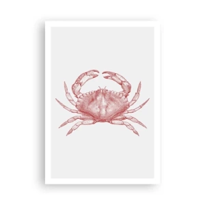 Plakát - Krab nad kraby - 70x100 cm