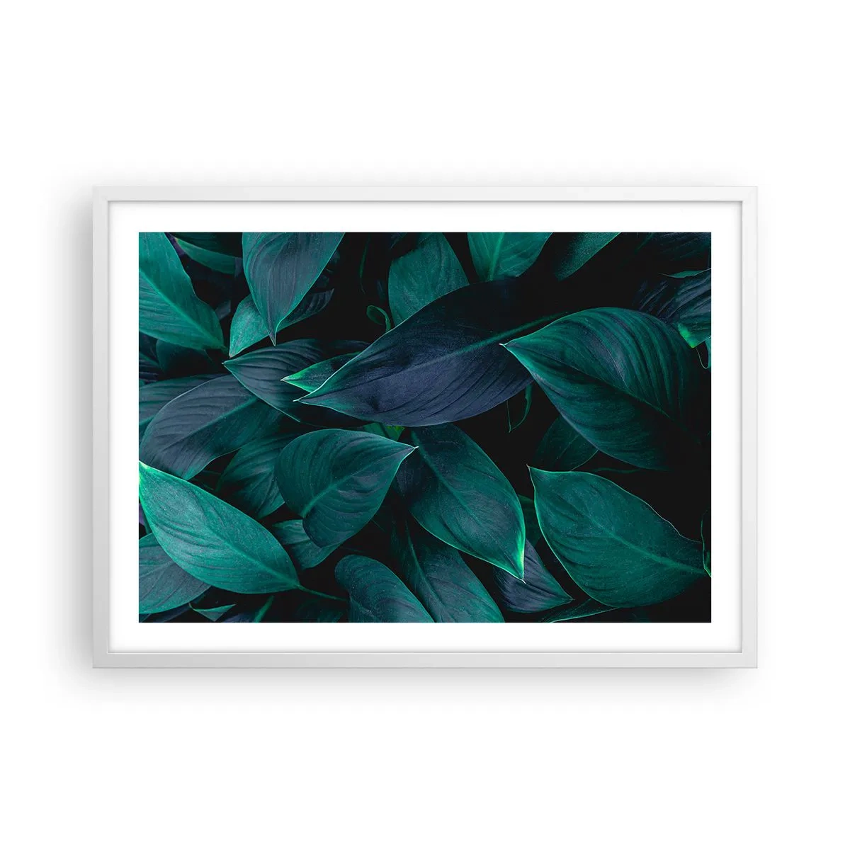 Plakát v bílém rámu - Zeleň sama o sobě - 70x50 cm