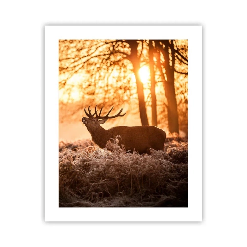 Plakát - Sen myslivce - 40x50 cm