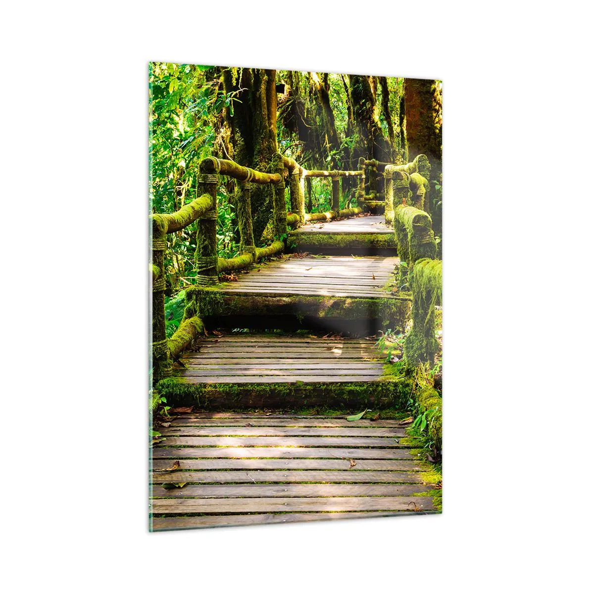 Obraz na skle - Chodbou zeleně - 50x70 cm