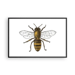 Plakát v černém rámu - Krásná a dobrá - 91x61 cm