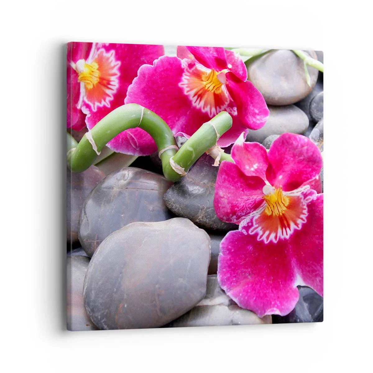 Obraz na plátně - Chlad a žár - 40x40 cm