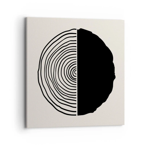 Obraz na plátně - Půl na půl - 70x70 cm