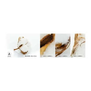 Fototapeta Vzorek Standard Eco - Měkká od přírody - Bavlna, Minimalistický, Květ - 100x30 cm
