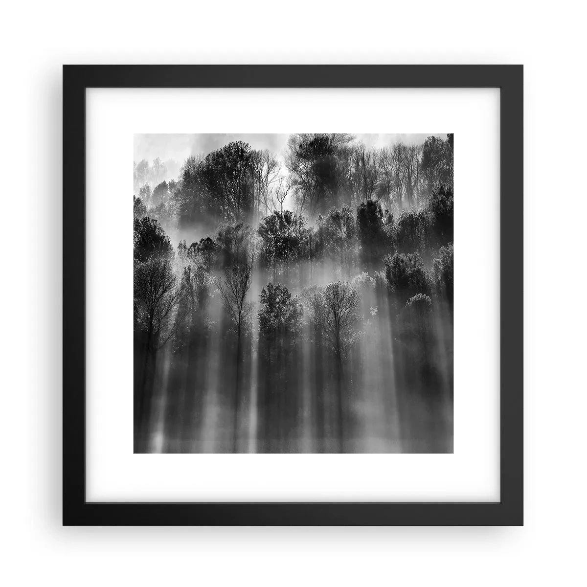 Plakát v černém rámu - V paprscích světla - 30x30 cm