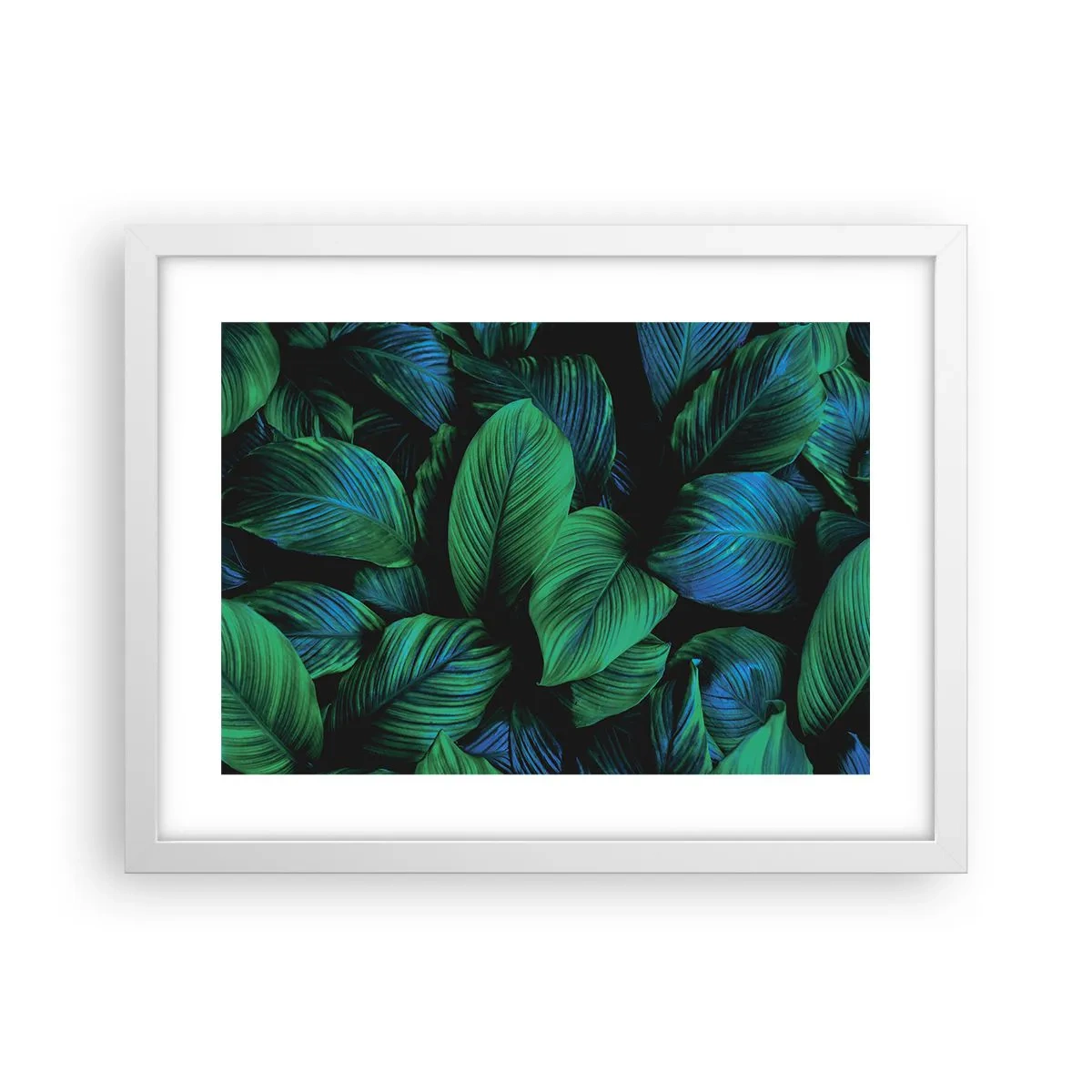 Plakát v bílém rámu - V zeleném davu - 40x30 cm