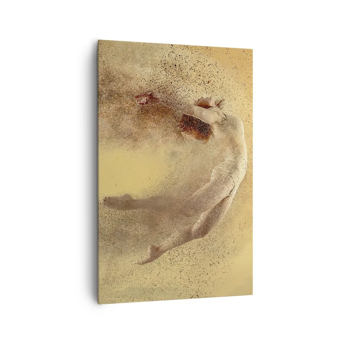 Obraz na plátně - V tanečním vytržení - 80x120 cm