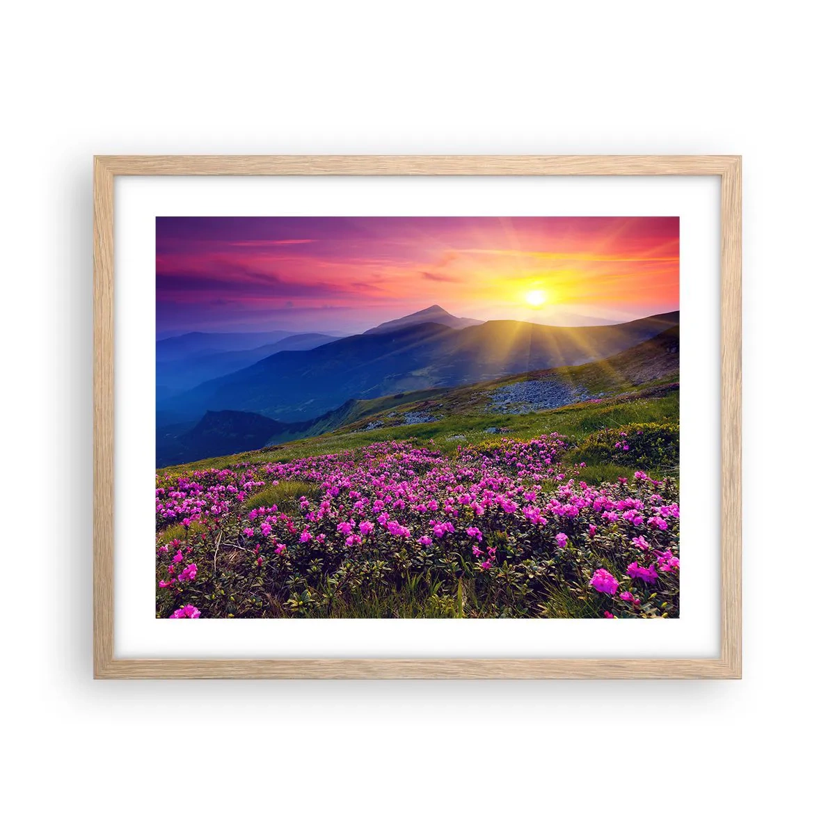 Plakát v rámu světlý dub - …A kolem voní kosodřevina a voní byliny - 50x40 cm