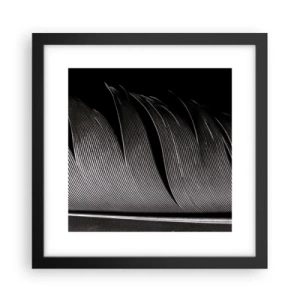 Plakát v černém rámu - Peří – nádherná konstrukce - 30x30 cm
