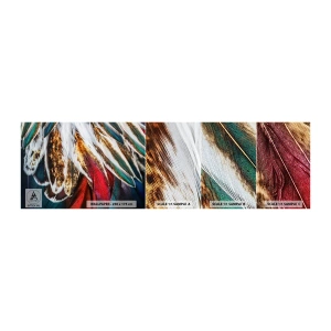 Vzor Fototapety Samolepicí Deluxe Sticker - Tajemství letu - Abstrakce, Kus, Boho - 100x30 cm