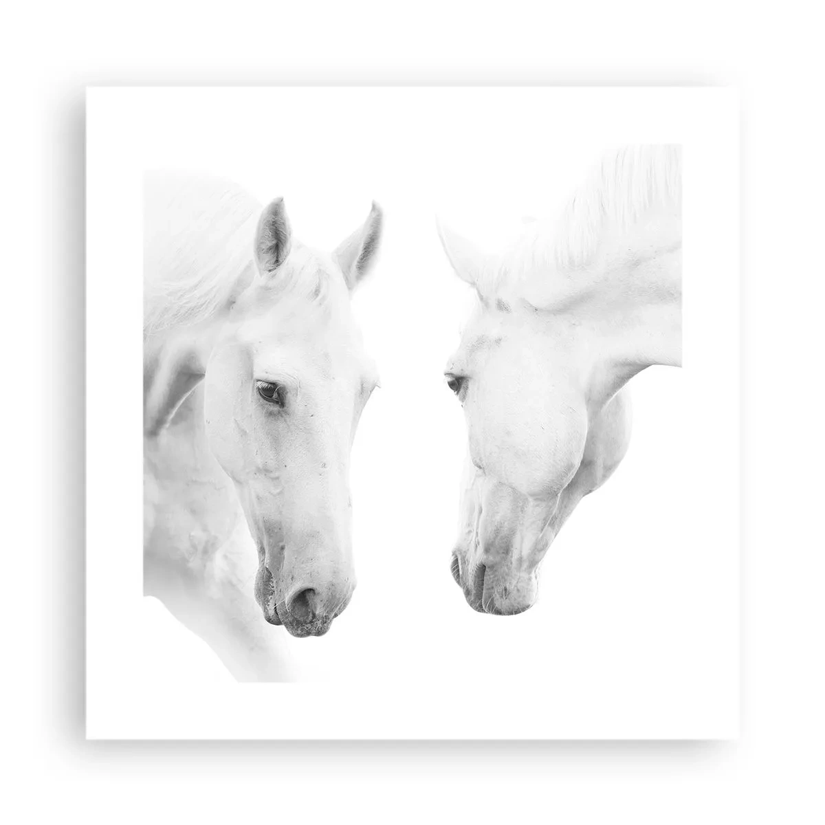 Plakát - Je to přátelství…? - 40x40 cm