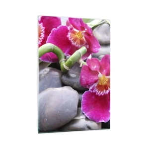 Obraz na skle - Chlad a žár - 80x120 cm