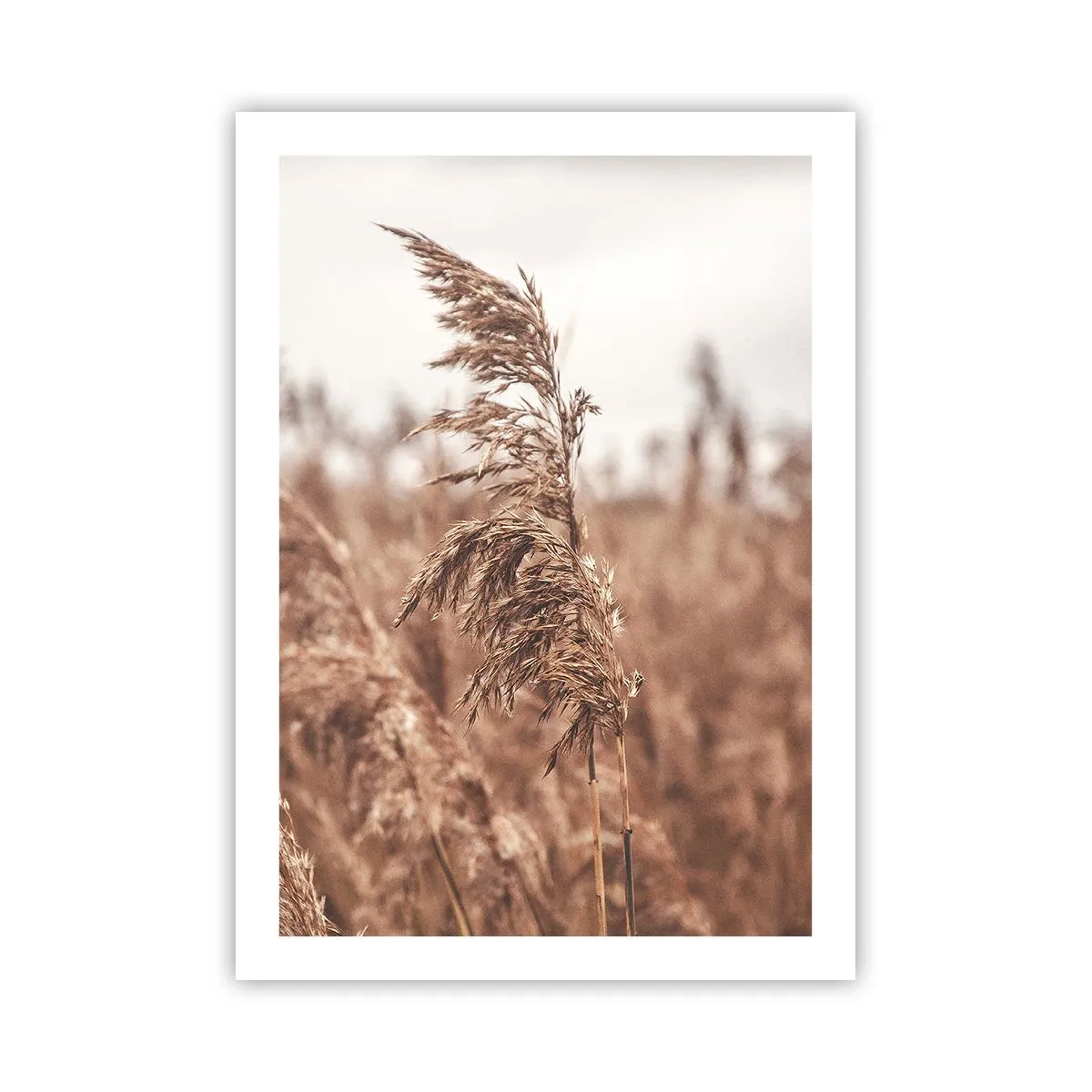 Plakát - Na polích už je podzim - 50x70 cm