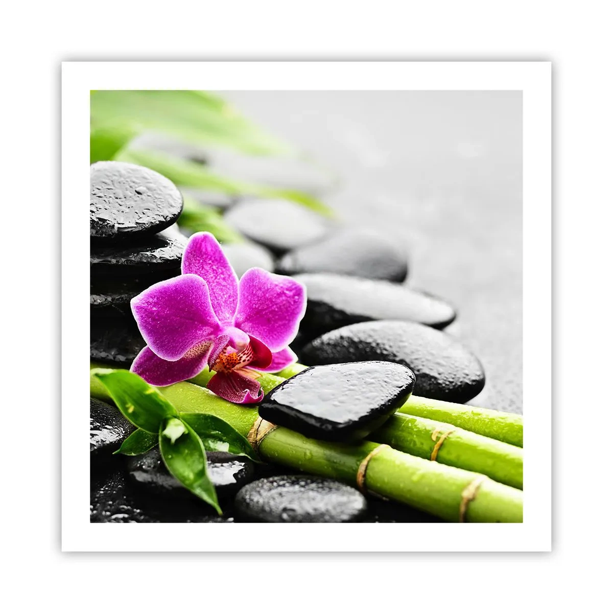 Plakát - V klidné rovnováze - 60x60 cm