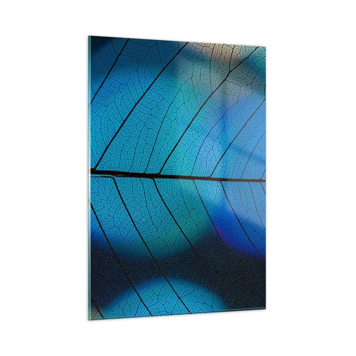 Obraz na skle - Až do detailů - 50x70 cm