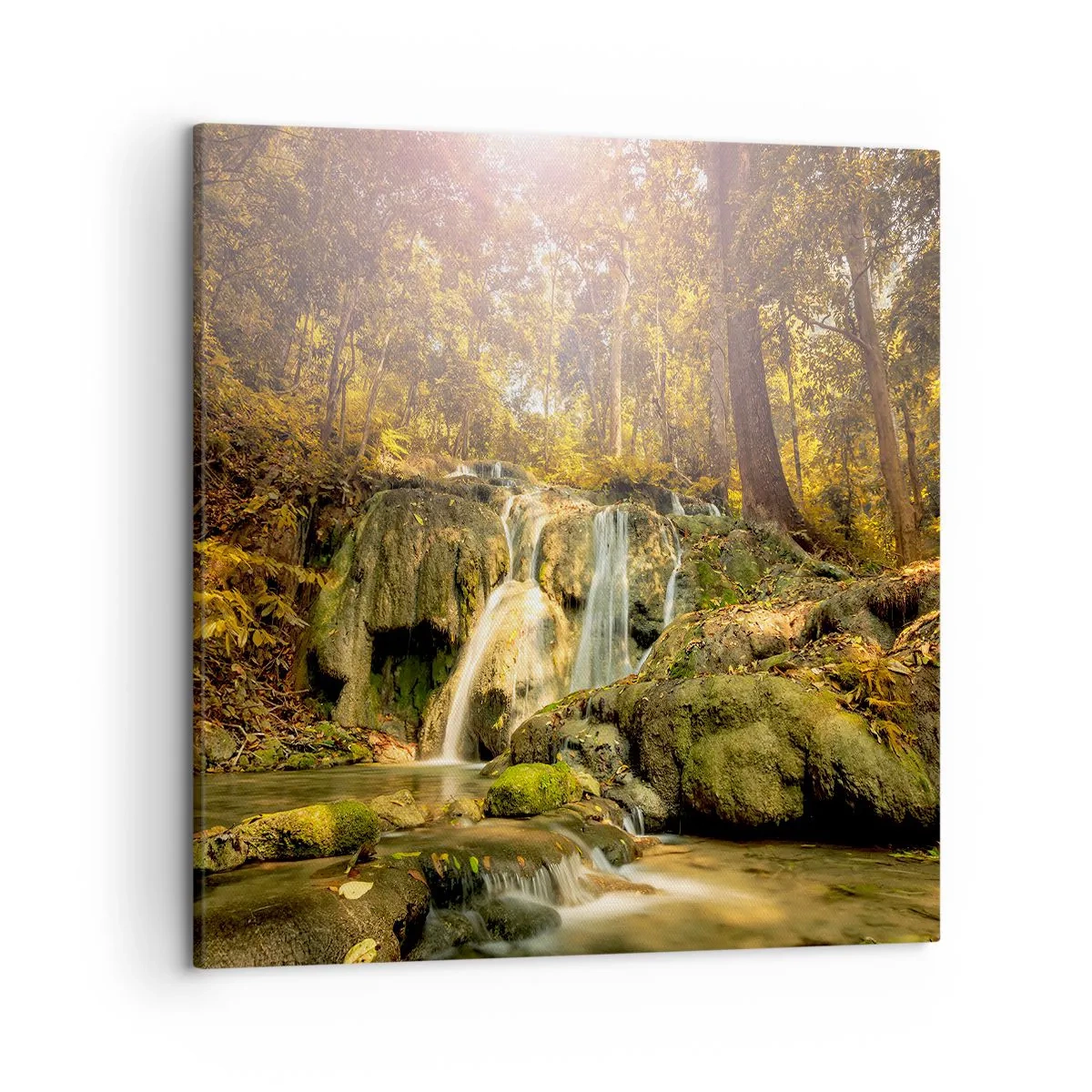 Obraz na plátně - Lesní vodopád v zelené - 50x50 cm